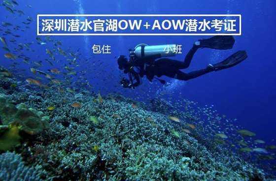 竞技宝登录